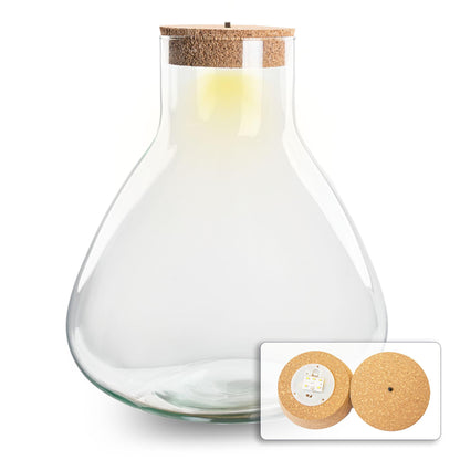 Bouteille terrarium Erlenmeyer : Ø 30 cm, hauteur 32 cm