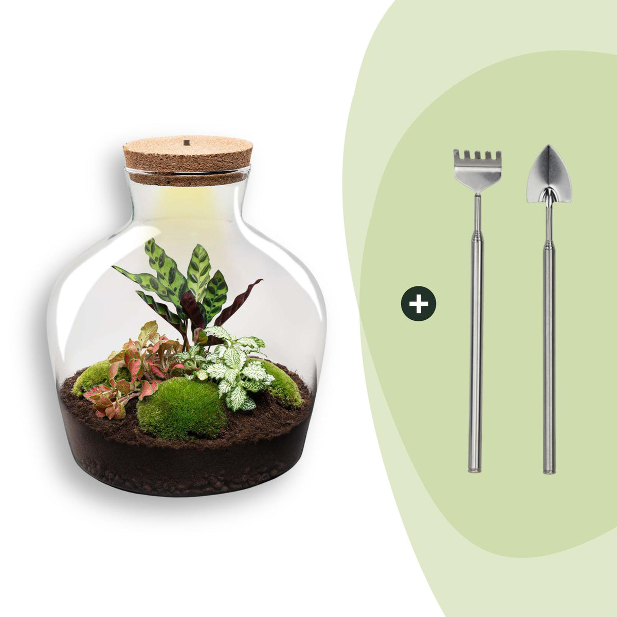 Grand kit terrarium lumineux Calathea : Avec râteau et pelle