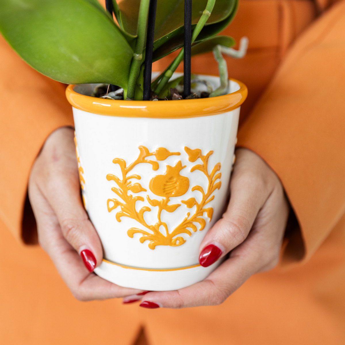 Cache-pot céramique mat coloré - la touche pop de votre déco