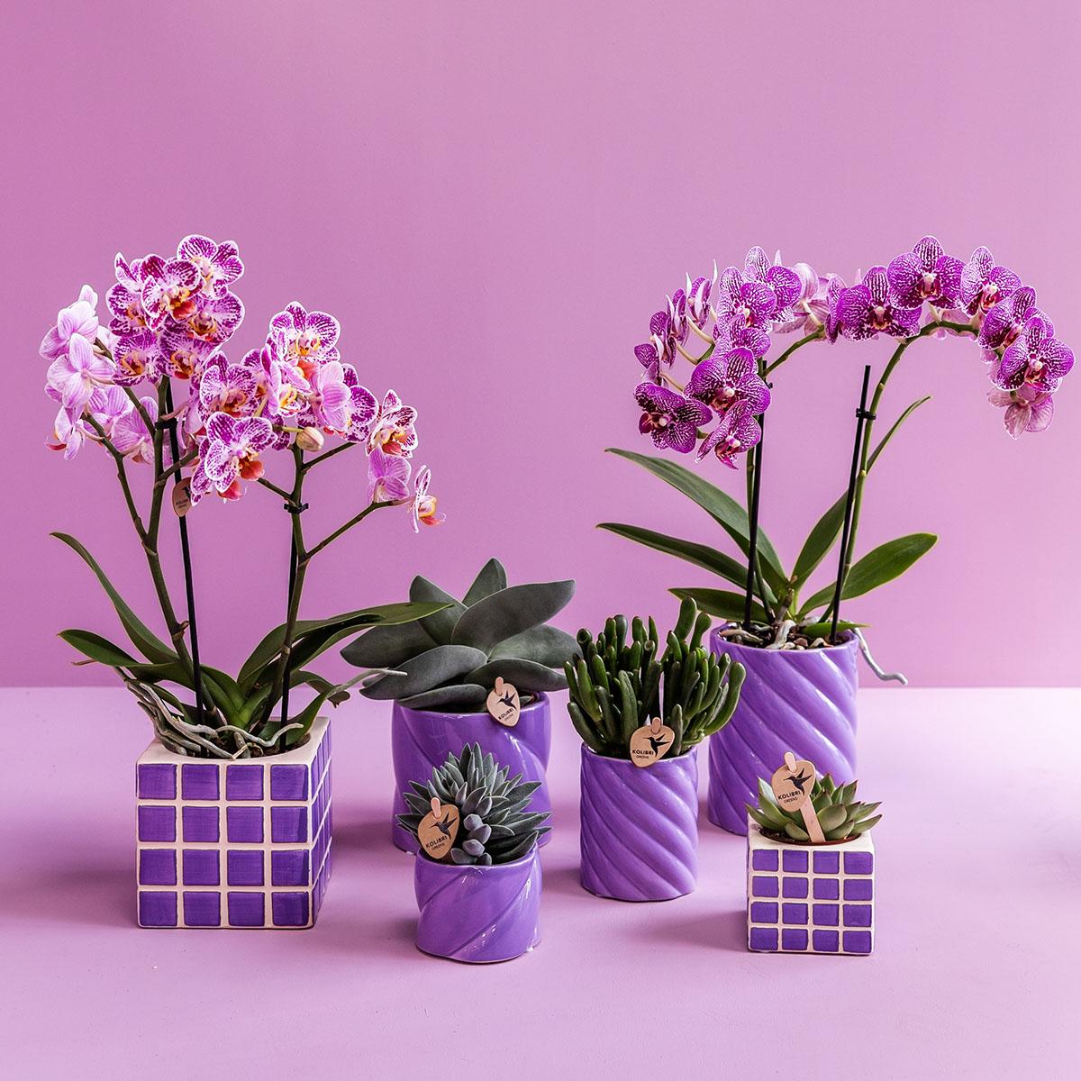 Cache-pot céramique pastel - rondeurs gourmandes - lilas